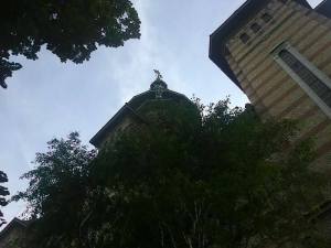 catedrala timisoara 08 aug 14