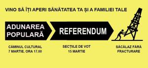referendum cover