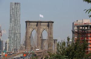 steagul alb al americii